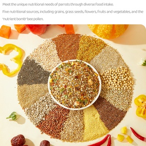 Yee <span class=keywords><strong>abeja</strong></span> polen loro hermosa pluma comida especial piel de tigre pequeño Sunbird comida nutritiva píldora alimentación pájaro comida - Product Image 3