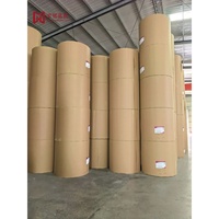 Rouleau de papier kraft absorbant imperméable de haute qualité, double face enduite, pour la fabrication de coussinets de refroidissement
