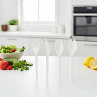 Ensemble de couverts écologiques compostables en gros pour événements et festivals : fourchettes, couteaux, cuillères, cuillères-fourchettes – Vaisselle pratique pour la restauration