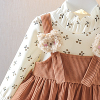 Robes de princesse pour bébé fille, à manches longues, en coton, à fleurs, décontractées, style A-line, longueur au sol, pour le printemps