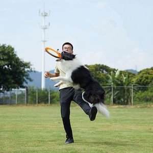 <span class=keywords><strong>ZOU</strong></span> PET Disco Volante Interattivo per Cani da Esterno Ecologico - Design in Tela Traforata Resistente ai Morsi Facile da Afferrare per Tutti - Product Image 2