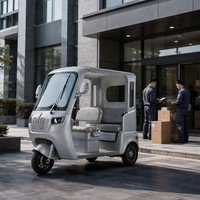 Triciclo Eléctrico de 3 Ruedas Directo de Fábrica en China, Doble Asiento, Faro LED, 1000W, Motor sin Escobillas, para Personas Mayores y Familias