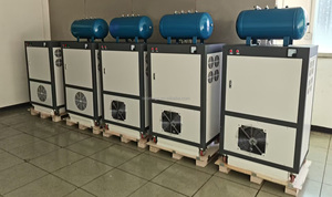 Draagbare 10l Zuurstofconcentrator Generator Gas Generatie Apparatuur Voor Visteelt En Aquaria - Product Image 5