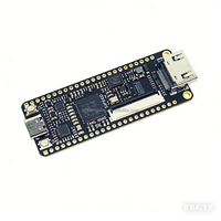Kit de Desarrollo FPGA Sipeed Tang Nano 9K, GW1NR-9 RISC-V RV para Interfaz 8640 LUT4 64M PSRAM, Placa para Aulas