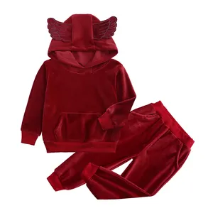 Wholesale Boys Girls Kids Clothing Sets Children Clothes Velvet Kids Tracksuits Baby Girl Clothing Kid Clothes Wholesale