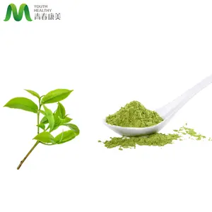 Профессиональная Заводская поставка семи сортов зеленый чай Matcha