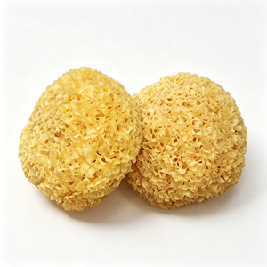 Extracto de Agaricus Blazei Murill en Polvo, Himematsutake <span class=keywords><strong>Royal</strong></span> Sun, Polisacáridos de Agaricus 30%, Beta Glucano Soluble en Agua, OEM - Product Image 3
