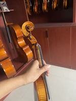 Violon Guarneri 4/4 en bois européen, grain flammé, son doux et agréable, épicéa et érable massifs, fait main