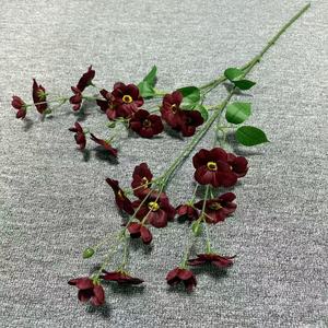 Fiori Conservati di Alta Qualità, Pansé Eterne, Fiori Secchi a Forma di Farfalla per Decorazioni per Feste - Product Image 4