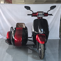Fournisseur Fabricant de Scooter Électrique Panoramique à Side-car, Tricycle Électrique, Contrôleur de Module 1500W 40A, Capacité de Charge 110kg