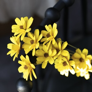 Bouquet di <span class=keywords><strong>Fiori</strong></span> Secchi Daisy Fatti a Mano di Origine Yunnan, Ecologici e Duraturi, con Scaglie di Legno e <span class=keywords><strong>Fiori</strong></span> di <span class=keywords><strong>Semi</strong></span> di Melone, Colori <span class=keywords><strong>Misti</strong></span> per Interni - Product Image 2