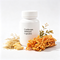 Extrait de Cordyceps Militaris en poudre de qualité alimentaire, fourni par l'usine, pour infusion