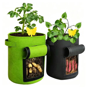 Pièges à moucherons collants Trappify <span class=keywords><strong>pour</strong></span> l'intérieur, pièges à mouches à fruits jaunes <span class=keywords><strong>pour</strong></span> l'intérieur, pièges à mouches collants jetables <span class=keywords><strong>pour</strong></span> l'intérieur - Product Image 3