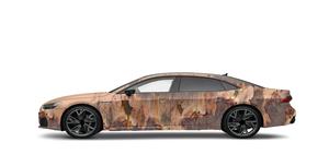 Desain Film Otomotif Gaya Selebriti Kustom, Film PPF TPU Dekoratif untuk Mobil, Film Promosi Periklanan, Gulungan Film Berubah Warna - Product Image 4