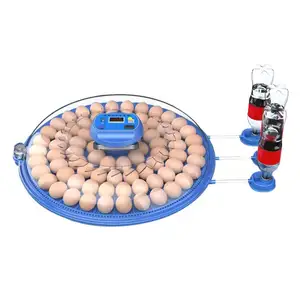 Fully Automatic 80-Egg Incubator for Home Use for Hatching Chicken Quail Turkey Ostrich Reptile Emu Eggs in Hatcheries