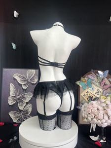 Ensemble de lingerie sexy en maille transparente avec soutien-gorge halter et bas, ensemble de lingerie pour femmes, fournisseur OEM ODM B2B - Product Image 5