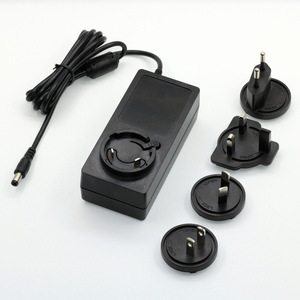 24V 2.5A 12V 5A Multi Country <b>Power</b> <b>Adapter</b> With Detachable Plug Travel Charger - Product Image 2