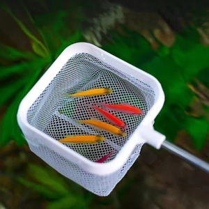 Hot Bán 3D Fish Tank Fishing <span class=keywords><strong>Net</strong></span> Thép Không Gỉ Có Thể Thu Vào Cá Tôm Cá Túi Lưới - Product Image 2