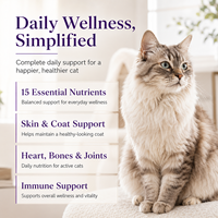 Gouttes liquides multivitaminées pour chats 15-en-1 avec taurine et oméga-3 pour le soutien immunitaire et la santé de la peau, complément alimentaire, étiquette privée OEM