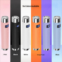 Lampe UV LED portable mini pour ongles, séchage rapide, avec support, effet œil de chat, stylo UV unique pour manucure en salon