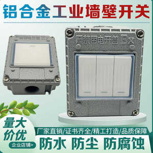Interrupteur mural 220V 10A en métal, simple poste, double pôle, pour usage industriel et en usine - Product Image 4