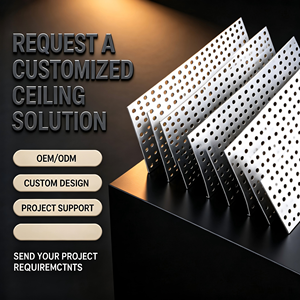 Panneaux de plafond perforés en aluminium sur mesure, design industriel, surface anodisée pour immeuble de bureaux - Product Image 6