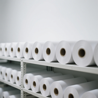 Rouleaux de transfert de chaleur papier de sublimation à séchage rapide 29gsm 44 pouces paquet pour machine d'impression par sublimation papier de transfert et film
