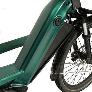 GreenPedel Nouvelle <span class=keywords><strong>Remorque</strong></span> à Cargaison Conçue pour Vélo Vélo Électrique pour <span class=keywords><strong>Livraison</strong></span> Vélo à Cargaison <span class=keywords><strong>Remorque</strong></span> à Cargaison Large avec une Boîte - Product Image 5