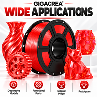 Filamen Printer 3D PETG Merah Transparan 1.75mm 1KG OEM/ODM Label Pribadi Pasokan Grosir Massal dari Produsen