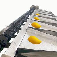 Oranje Macadamia Kiwi Kersen Fruit Groente PLC Gecontroleerde Fruitverwerkingsinstallatie Sorteermachine
