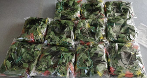 KN-hhb002S <span class=keywords><strong>Hip</strong></span> <span class=keywords><strong>Hei</strong></span> Nhân Tạo Mới Thắt Lưng Polynesia Dây Đeo Hông Bện Tay Đảo Hula Đảo Nấu Ăn - Product Image 3