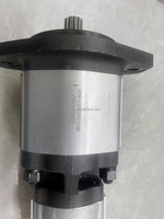 Pompe à piston hydraulique standard série AZPNF, 2 étages, double action, haute pression, acier au carbone, remplacement électrique Rexroth, garantie 1 an