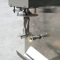 Commerciële Automatische Sinaasappelschilmachine Mango Citroen Mandarijn Anananas Persimmon Peeling Dunschiller Machine