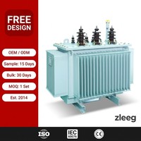 Transformator Distribusi Tiga Fasa Berpendingin Minyak yang Dapat Disesuaikan 10kV 400V Transformator Daya Step-Up ISO CE untuk S13 1250kVA