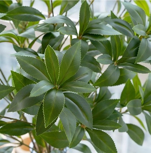 Feuilles artificielles de haute qualité, feuilles vertes, décoration, <span class=keywords><strong>pieris</strong></span> japonais artificiel pour la décoration de la maison et des mariages - Product Image 6