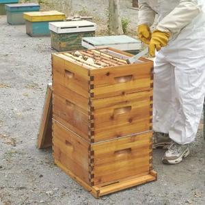 New 3 Layer Complete Langstroth Beehive Box 10 <b>Frame</b> Beeswax Coated Fir Wood Bees Hive Starter Kit with <b>Frames</b> - Product Image 4