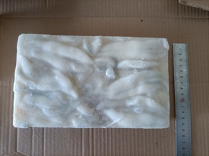 M36 illex mực roe Chất lượng cao đông lạnh Trắng Ấn Độ mực roe - Product Image 3