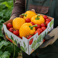 Boîte d'emballage pour produits frais sans plastique, en carton ondulé, avec trous respirants personnalisés, plateau en carton kraft pour fruits