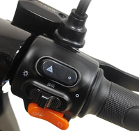 Vélo électrique cargo à deux roues intelligent CKD SKD Garow 1000W avec moteur sans balais haute puissance et autonomie de 140 km