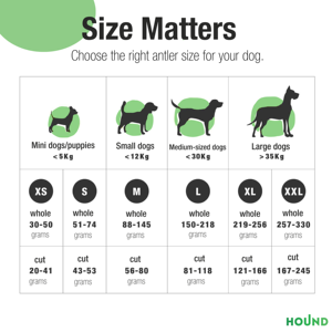 Jouets à mâcher pour chiens agressifs en bois de cerf de qualité supérieure avec marque privée taille L 100% naturelle et sûre - Product Image 4