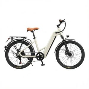 Pneus de 26 pouces, batterie au lithium cachée 36V10AH, amortisseur avant sans balais, frein à disque avant et arrière, vélo électrique rétro à 7 vitesses - Product Image 1