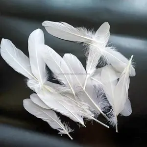 מולבן לבן 6-8 ''15-20 cm נוצות אווז עבור מלאך כנף, תלבושות, שמלה, קרנבל תלבושות קישוט
