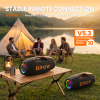 Neues Fabrikmodell 130W Outdoor-Lautsprecher für Unterhaltung im Freien mit RGB-Beleuchtung und TF-Karten-Unterstützung