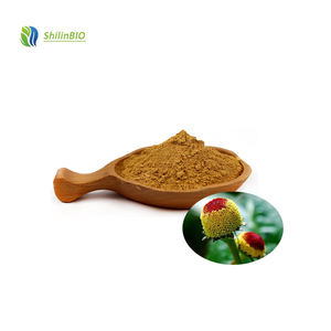 SLBIO 스필란테스 액멜라 꽃 추출물 분말 10:1 20:1 액멜라 올레라시아 추출물 - Product Image 3