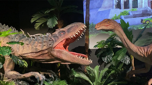 Parque de Atracciones de dinosaurio, dinossauro, animatrónico, T Rex, igong - Product Image 5