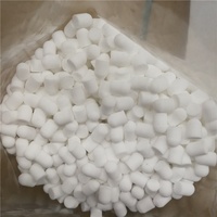 Fabricant de polyéthylène fritté PE poreux en plastique polyéthylène 9mm silencieux silencieux pièces bouchon pour filtre air-eau