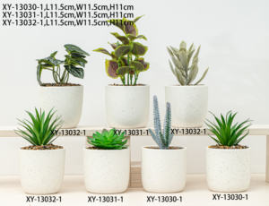 Maceta de cerámica para orquídeas y soporte para plantas, decoración minimalista versátil para el <span class=keywords><strong>hogar</strong></span> para sala de estar, suculentas, macetas y macetas para flores verdes - Product Image 3