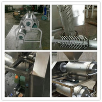 Dragon Juicer Fruitschilzaad Verwijderen Pulping Machine/Vruchtenpulp Sap Maken Machine/Mango Puree Extractor