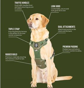 Chaleco acolchado suave para perros-Arnés ligero y cómodo para cachorros, listo para envío rápido - Product Image 2