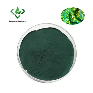 Poudre de pigments naturels chlorophylle Sodium cuivre chlorophylline